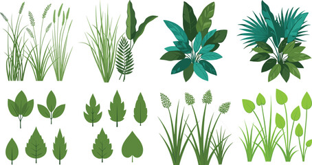 Collection of Green Leaves and Grass Plants for Botanical and Tropical Nature Illustration © MdShahinnur