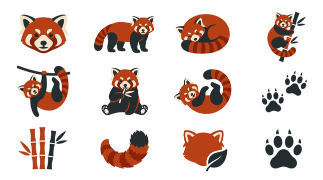 Cute red panda vector illustrations set on a white background