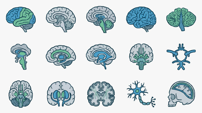 Neural Brain Structures and Neurons Illustration.