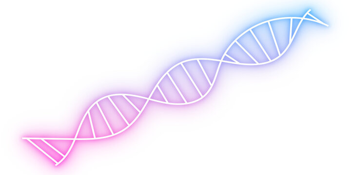 neon dna helix png transparent background science, glowing genetic strand png transparent background, futuristic dna molecule png transparent background