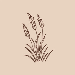 Tufts greenery. Hand drawn vector illustration. © Darya