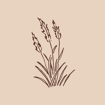 Tufts greenery. Hand drawn vector illustration.