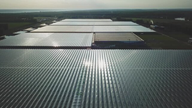 Drone advancing over large greenhouse roof area