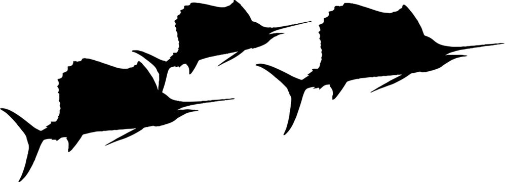 Three black sailfish silhouettes swimming in a row.