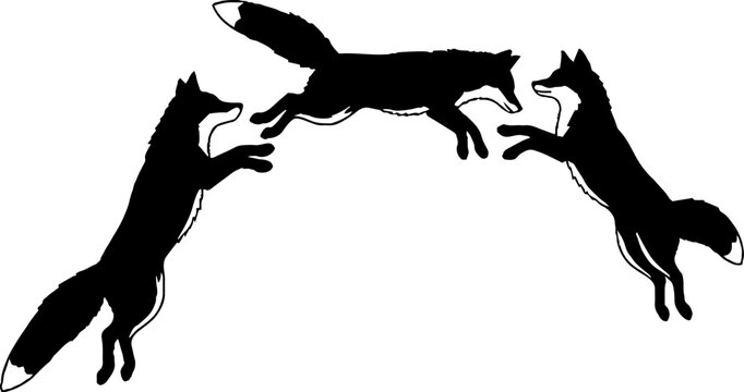 Three black foxes leaping in dynamic action pose.