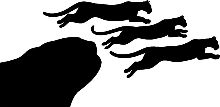 Silhouette of a lion chasing three cheetahs in motion.
