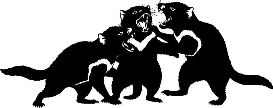 Silhouette of panthers in dynamic fighting pose.