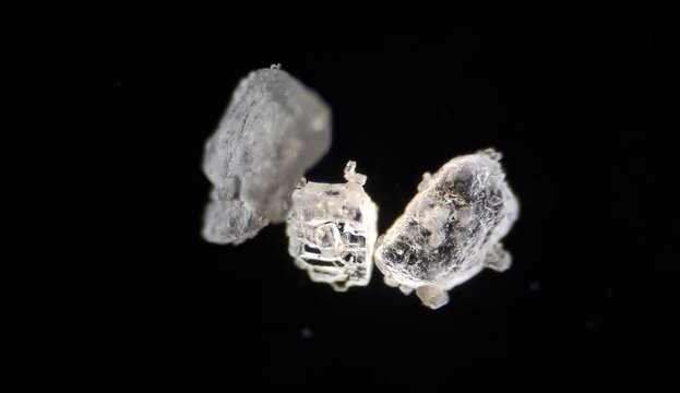 salt crystals under the microscope