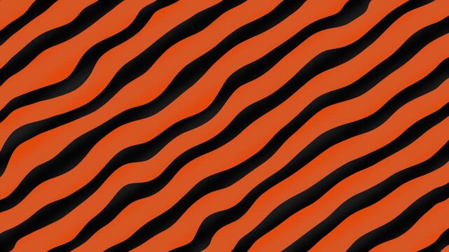 Abstract black and orange wavy lines background. Dynamic tiger stripe pattern perfect for modern advertising and creative motion graphics.
