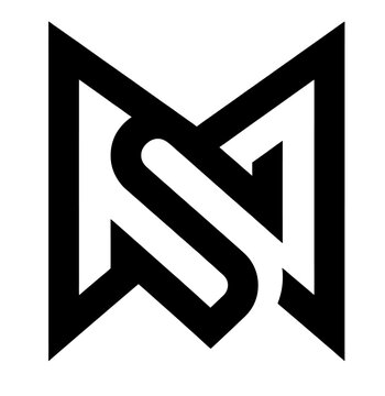 Abstract Letter NS Geometric Logo Design