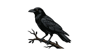 crow bird clipart vector illustration © Nayon