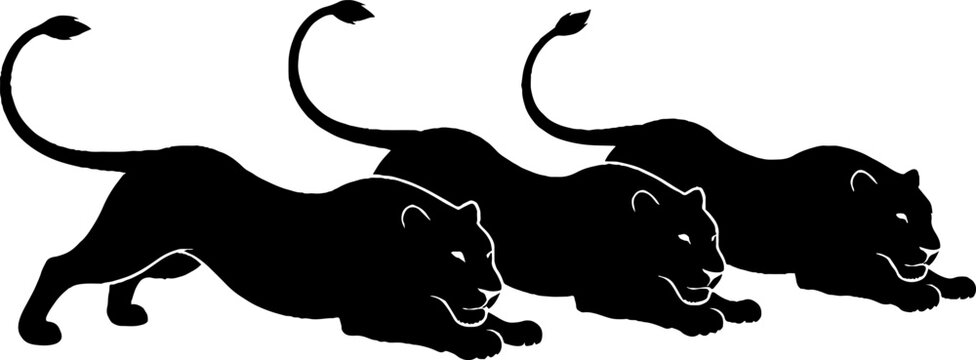 Three black panthers in dynamic running pose silhouette.