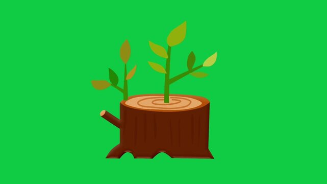 2D Animated Tree Stump with Growing Sprout Detail for Reforestation Theme