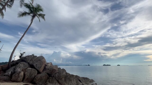 Landscape with tall palm trees on the ocean shore