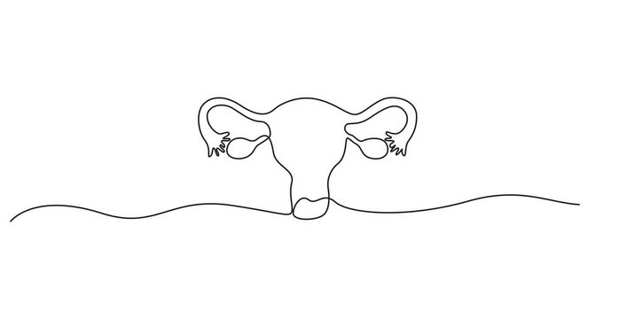 Self animated single minimalist line-art illustration of the female reproductive system. Continuous one line drawing of female uterus vector illustration