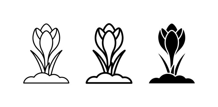 Crocus Flower Icons, Spring Bloom Vector Graphics, Botanical Line Art & Silhouette