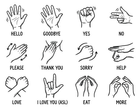 Hand gestures illustrating common words in sign language