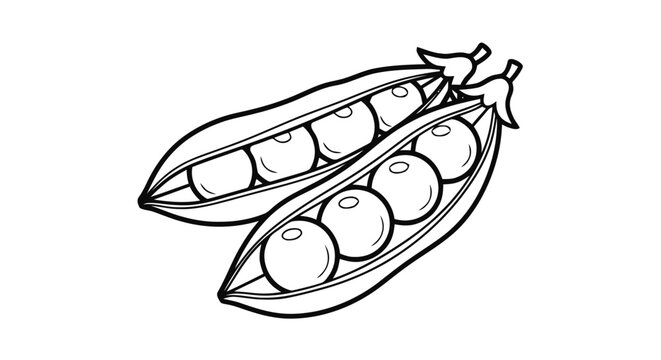 Vector illustration of black and white line art illustration of two open pea pods on a transparent background