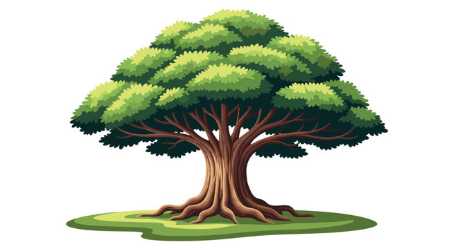 Large leafy green tree stands tall with a thick brown trunk and prominent roots spreading out against a clean white background in a detailed style.