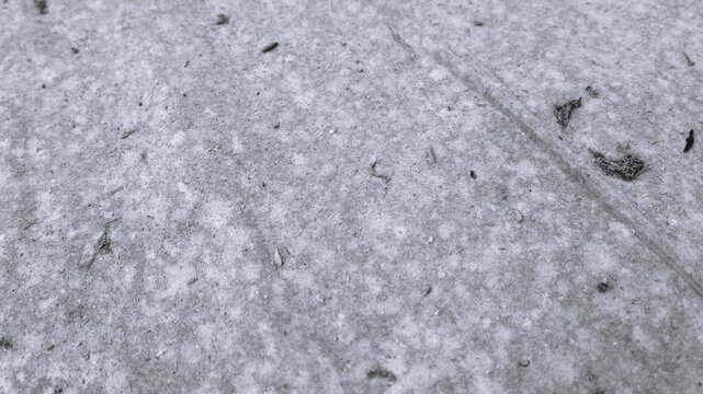 Monochrome close-up of pale dusty floor surface with fine debris, subtle track marks, and minimal rough texture.