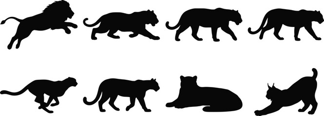 Big Cat Silhouette Collection Featuring Lion Panther and Feline Poses © Limon