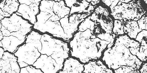 Fototapeta premium Black and white texture showing cracked dry earth ground pattern for artistic design and abstract background