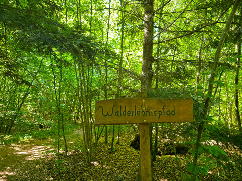 germany, forest experience trail sign welcoming visitors to memorable outdoor adventures through beautiful woodland