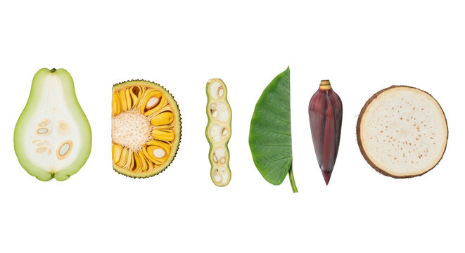 Set of various tropical fruits and vegetables isolated on transparent background