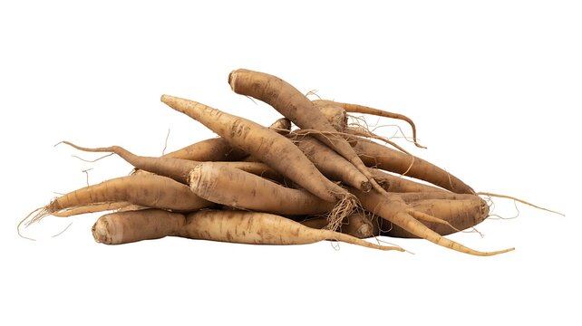 Pile of raw salsify roots isolated PNG, uncooked root vegetables on transparent background, healthy eating and vegetarian food 
