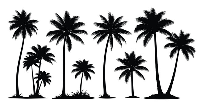 Detailed silhouettes of various tropical palm trees standing on small grass patches against a clean white background.