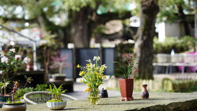 The warm yard view with the colorful flowers on the table in spring