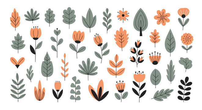 Big collection of hand drawn autumn leaves and flowers in green and orange tones isolated on white background.