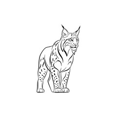 Fototapeta premium A wild lynx feline stands alert in a forest habitat showing impressive spotted fur textures and sharp ears drawn in a hand sketched artistic style perfect for nature lovers and wildlife