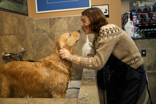 Dog shakes during a bathing session in a grooming shop