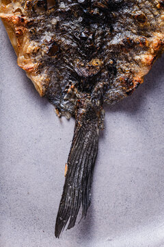 Grilled fish tail