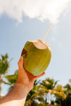 POV of a hand raising a green coconut with a straw to the sunny sky