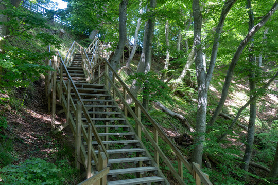 Treppen an den Kreidefelsen bei Klint Holm an der Ostsee, M&Oslash;n, D&auml;nemark