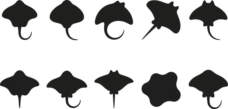 Black stingray silhouettes on white background