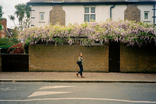 Tourist walking in front of a brick wall adorned with hanging flowers