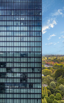 high rise building and trees