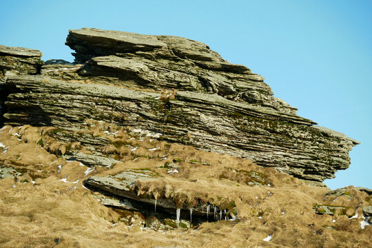 Petrovy kameny Peterstein peak Peters stones protected landscape area in Jeseniky Czech Republic during spring surrounded by brown dried grass and melted ice snow close up photo. Famous tourist place