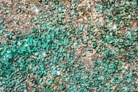 Scattered Green Glass Pieces on a Concrete Surface in Daylight