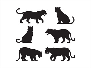 Tiger silhouettes set varied poses for wildlife black vector isolated illustration © Chan