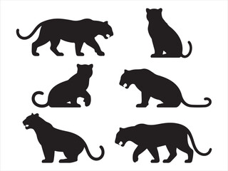 Tiger silhouettes set varied poses for wildlife black vector isolated illustration © Chan