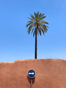 Maroccan orange wall, street sign, palm tree and blue sky composition