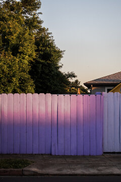 Colorful Fence With a Purple Gradient in the Evening Light