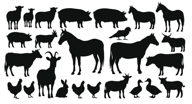 Farm Animal Silhouettes Collection Black And White Silhouette