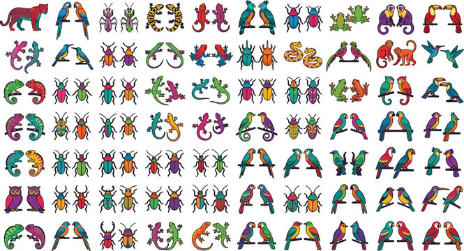 Large vector set of tropical rainforest animals and insects in symmetric pairsLarge vector set of tropical rainforest animals and insects in symmetric pairs