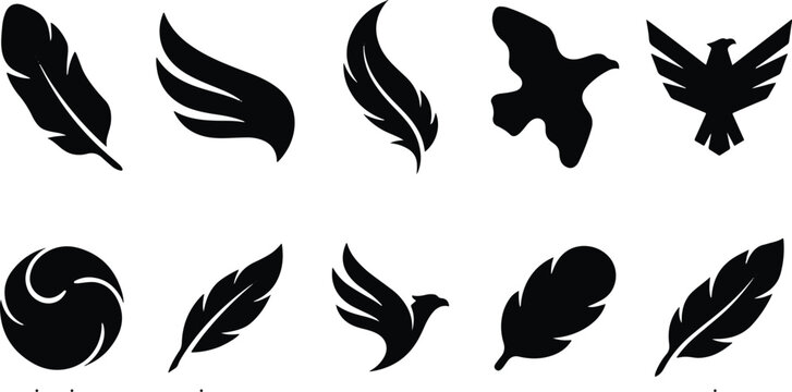 Black feather and bird silhouettes
