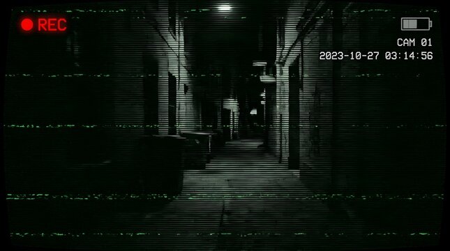 Night Vision Security Camera Recording Screen with Green Static Noise Overlay